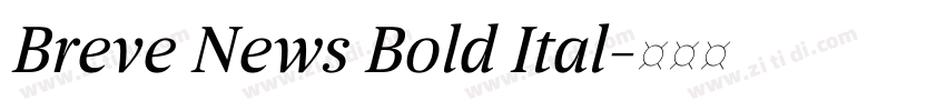 Breve News Bold Ital字体转换